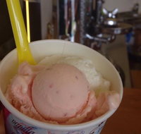 Bermagui Gelati Clinic - Accommodation Coffs Harbour