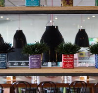 Collegians Balgownie - Accommodation Coffs Harbour