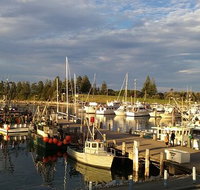 Horse  Camel - Accommodation Coffs Harbour