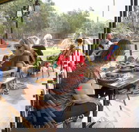 Redgums on PS Emmylou - Accommodation Coffs Harbour