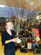 North Arm Cove Restaurants and Takeaway Accommodation Coffs Harbour Accommodation Coffs Harbour