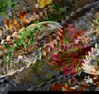 OlleyvilleShaw - Accommodation Coffs Harbour