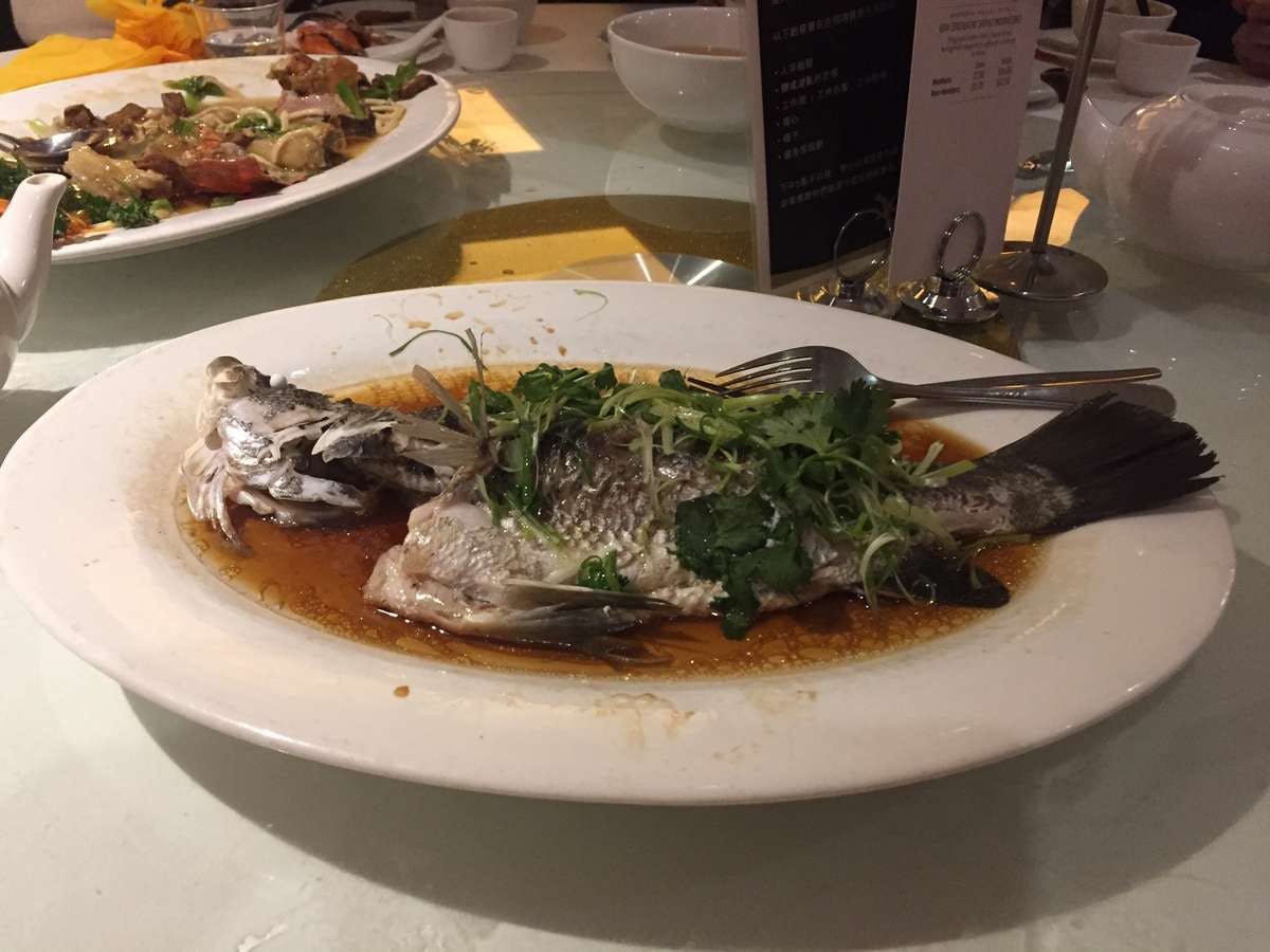 Denistone NSW Accommodation Coffs Harbour