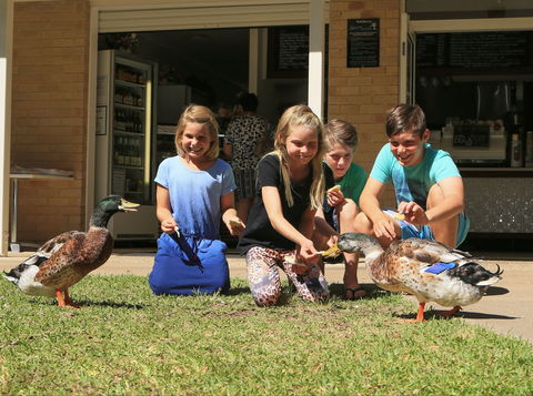Arkarra Gardens Cafe And Restaurant - Accommodation Coffs Harbour 2
