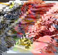 Fitzies Fish and Chips - Accommodation Coffs Harbour