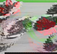 Fresh Blend - Mosman - Accommodation Coffs Harbour