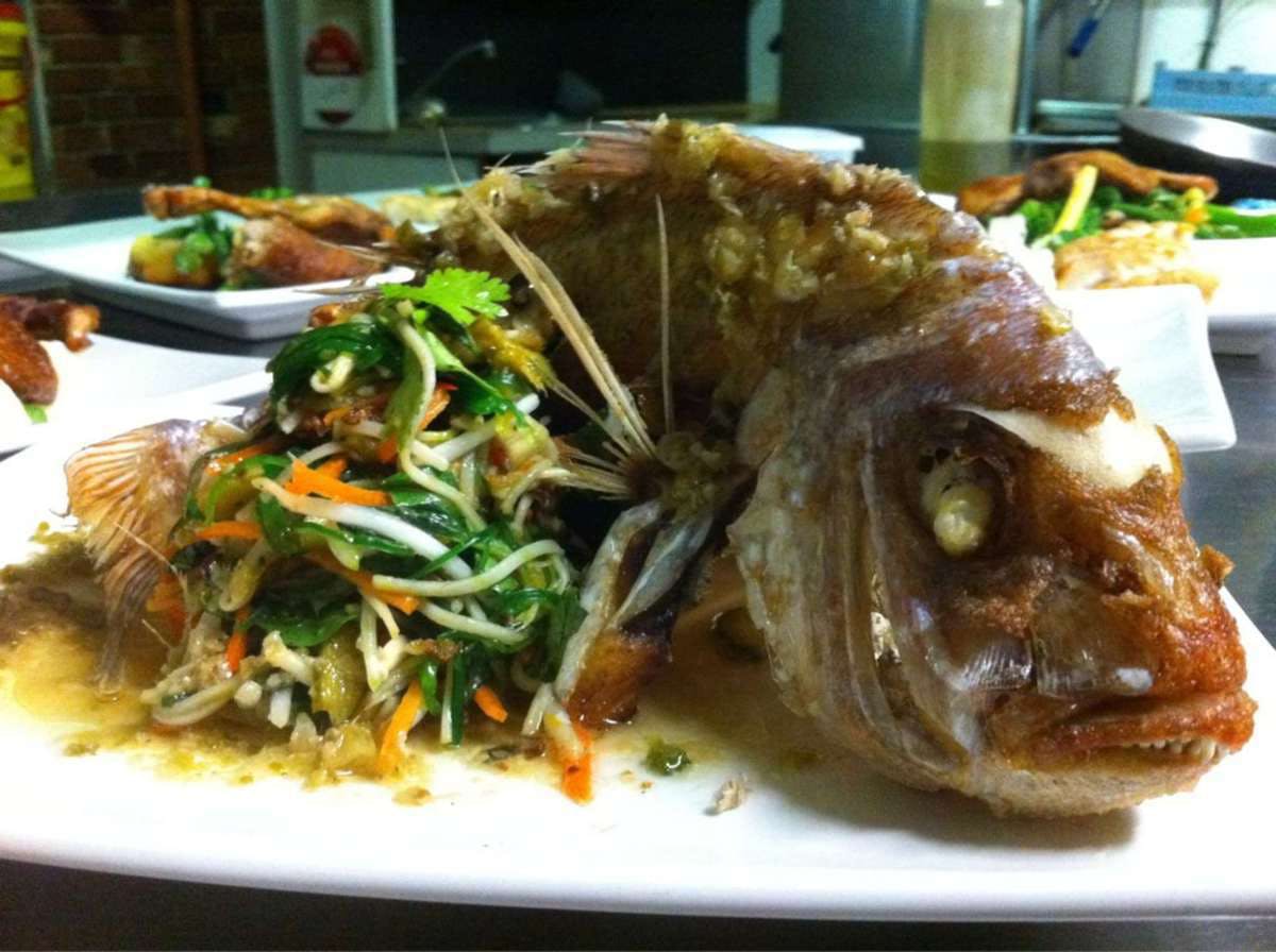 Carrajung Lower VIC Accommodation Coffs Harbour