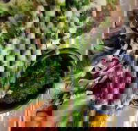 D For Dumplings - Accommodation Coffs Harbour