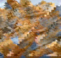 The Burger Moore Cafe - Accommodation Coffs Harbour