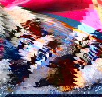 Donut King - Blackburn - Accommodation Coffs Harbour