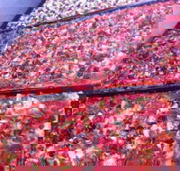 Pizza and Kebab on Bell - Accommodation Coffs Harbour