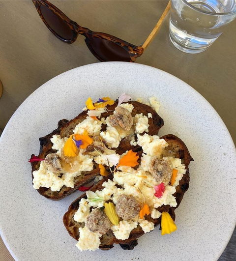 Good One Bondi Beach - Accommodation Coffs Harbour 0