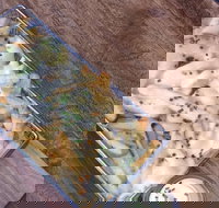 Justinian's - Accommodation Coffs Harbour