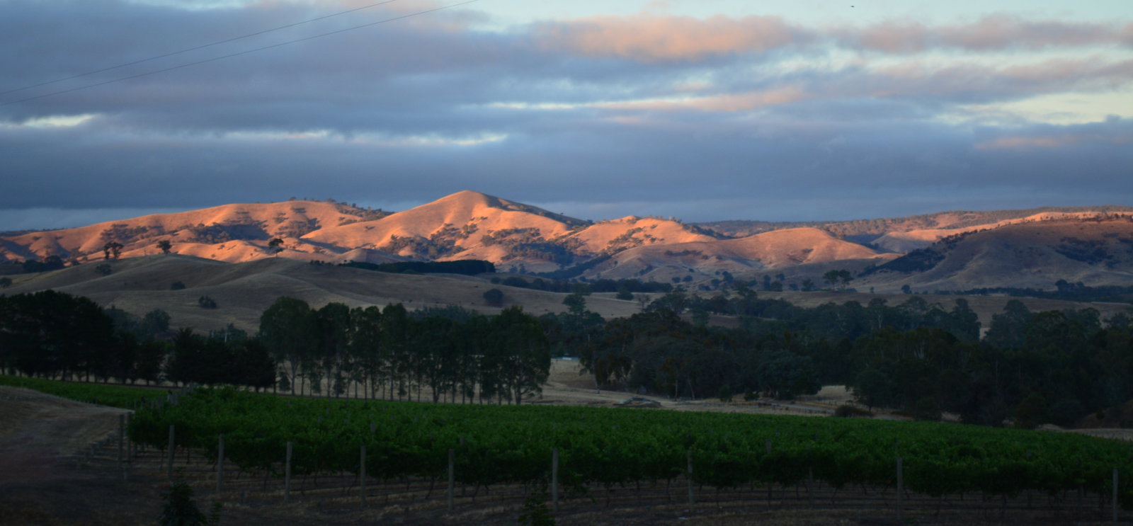 Murrindindi VIC Accommodation Coffs Harbour