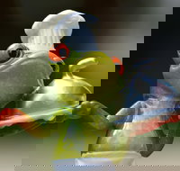 The Lillipad Cafe - Accommodation Coffs Harbour