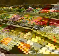 Nieo's - Accommodation Coffs Harbour