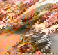 Pizza Rustica - Accommodation Coffs Harbour