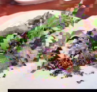 YaYa Bar and Eatery - Accommodation Coffs Harbour