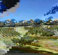 Cherrytime Orchard - Accommodation Coffs Harbour