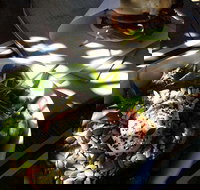 Good Cartel - Accommodation Coffs Harbour