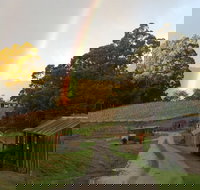 Hartzview Vineyard - Accommodation Coffs Harbour