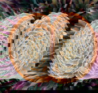 La Bouche - Accommodation Coffs Harbour