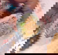 La Porchetta Colac - Colac - Accommodation Coffs Harbour