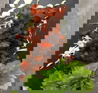 Le Wrap - Prairiewood - Accommodation Coffs Harbour