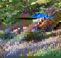 Macquariedale Organic Wines - Accommodation Coffs Harbour