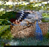 Rowlee Wines Picnic Hamper - Accommodation Coffs Harbour