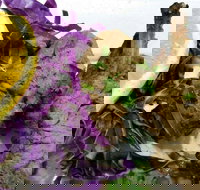 Saigon Southland Hot Bake - Accommodation Coffs Harbour