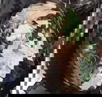 Seoul Buffet Korean BBQ  Steamboat - Victoria Park - Accommodation Coffs Harbour