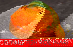 Ryde Restaurants and Takeaway Accommodation Coffs Harbour Accommodation Coffs Harbour