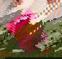 Donut King - Chermside - Accommodation Coffs Harbour