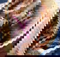 Haci's Kebabs Food Truck - Accommodation Coffs Harbour