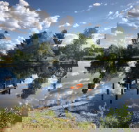 Hillbrook Hygge Cafe - Accommodation Coffs Harbour