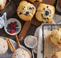 Muffin Break - Burleigh Heads - Accommodation Coffs Harbour