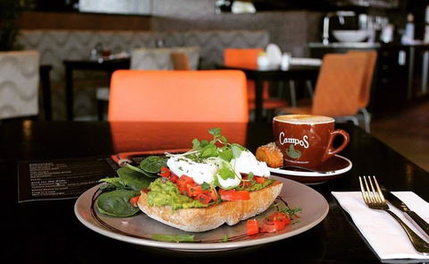 Treehouse Café - Accommodation Coffs Harbour 0