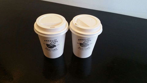 Annoying Brother - Accommodation Coffs Harbour 0