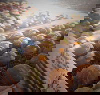 Pompadours Chocolate House