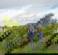 Ross Hill Wines - Accommodation Coffs Harbour