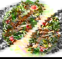 Sumo Salad - Mascot - Accommodation Coffs Harbour