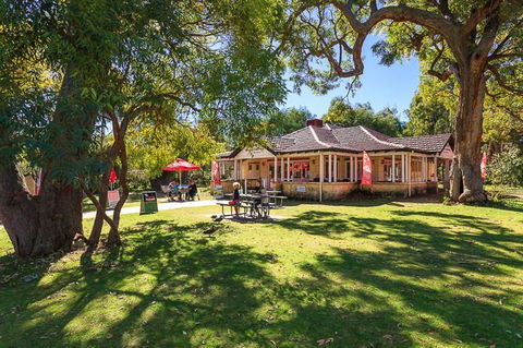 Chocolate Drops - Accommodation Coffs Harbour 0