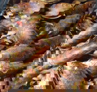 Pacific Eats - Accommodation Coffs Harbour