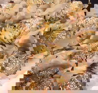 Jammy Cow - Accommodation Coffs Harbour