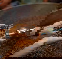 Yahava Koffeeworks - West Swan - Accommodation Coffs Harbour