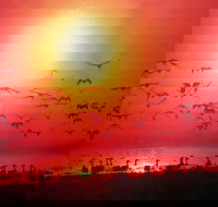 Barra Cafe on Riverview - Accommodation Coffs Harbour