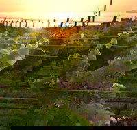 Bennetts on Bellarine Winery - Accommodation Coffs Harbour