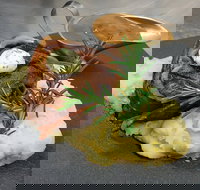 Hotel Settlers - Accommodation Coffs Harbour