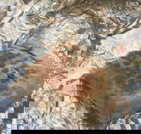 Mad Mex Fresh Mexican Grill - Accommodation Coffs Harbour